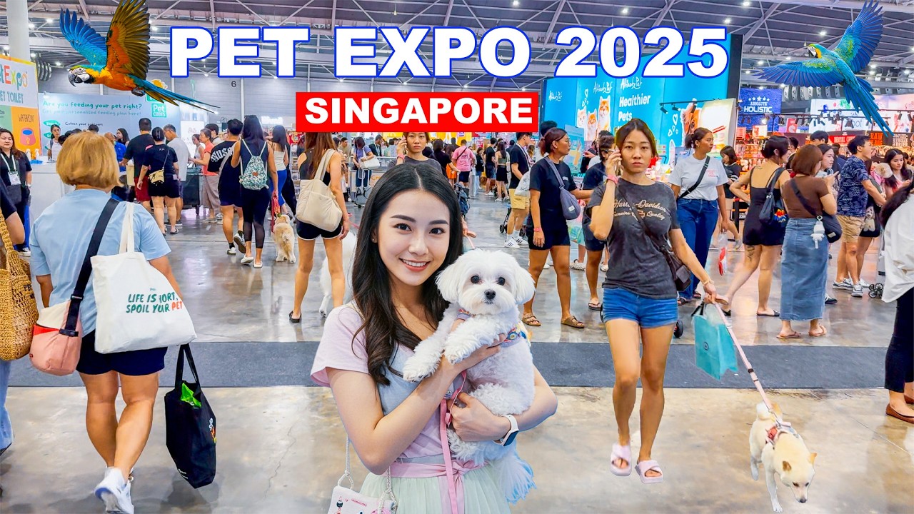 🐶 Singapore Largest Pet Expo 2025 | A Paradise for Pet Lover In Singapore 🇸🇬😍🐩