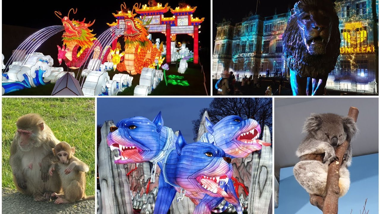 Longleat Winter safari, Festival of Light Myths & Legends, Night Maze, Enchanted Christmas Tree 2019