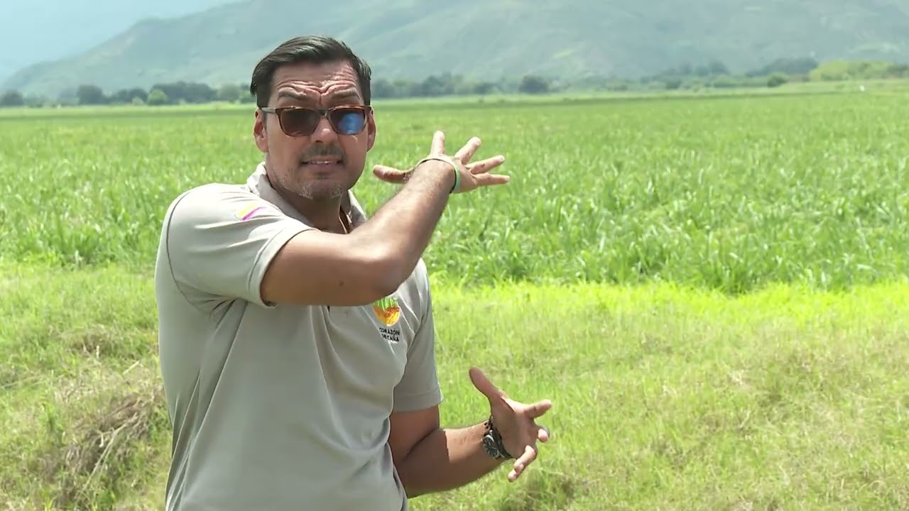HUMEDALES PASO MORENO – LA ISLA - Cuentos Verdes - 19 de enero 2026