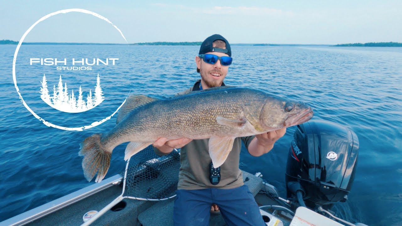 BIG WALLEYE on LAKE OF THE WOODS!!! (HOT SUMMER DAY)