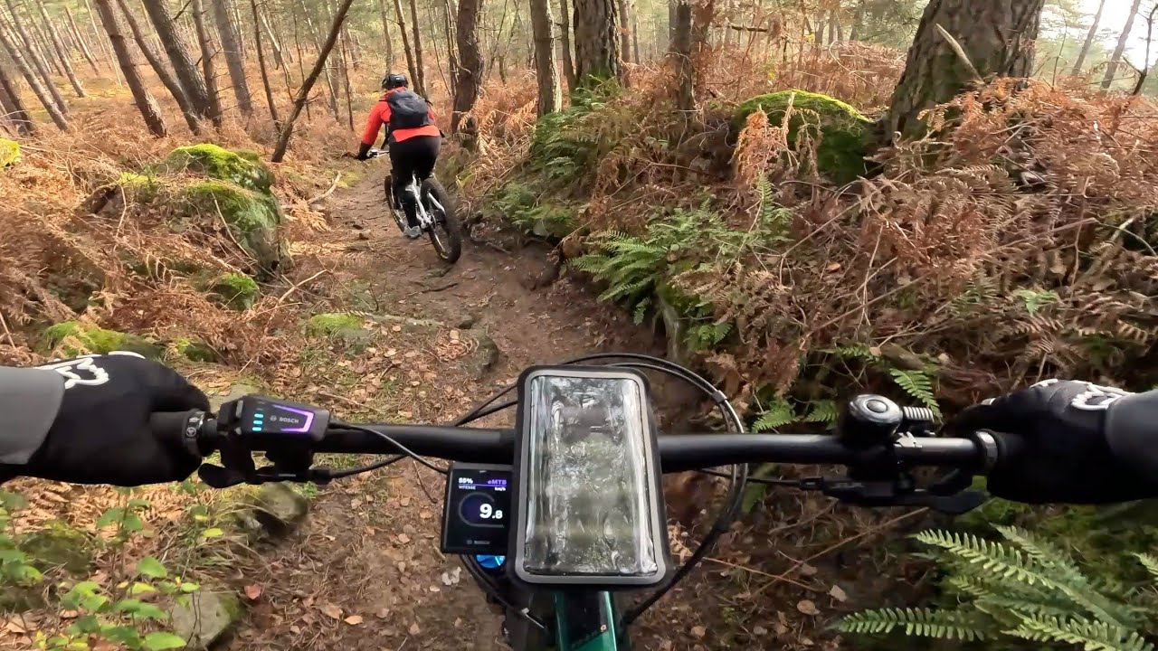 3 Moustache Trail (7, 8 et 9) - Forêt d'Ermenonville - Rando VTTAE - 28/01/2024