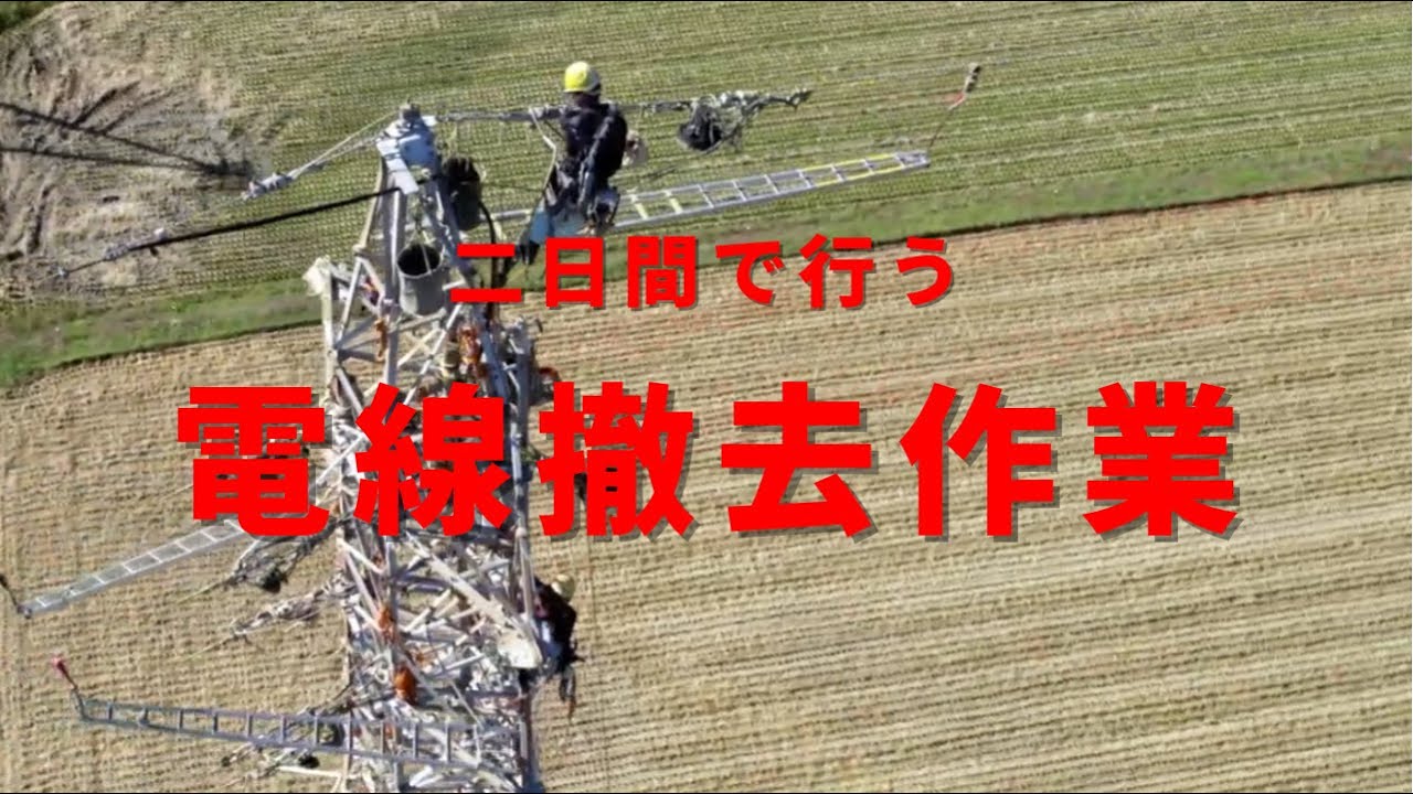 【電線の撤去作業】電線を撤去するのにこうやります   山本電設株式会社