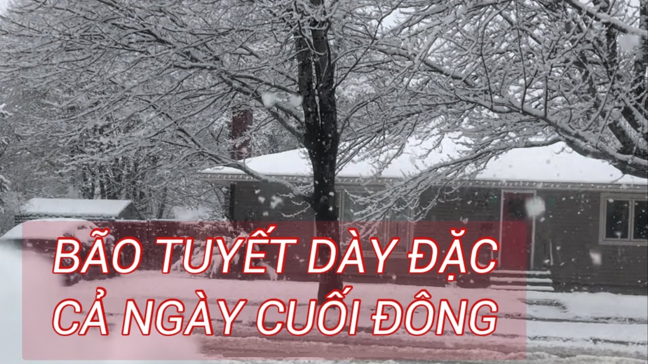 BÃO TUYẾT DÀY ĐẶC CẢ NGÀY CUỐI ĐÔNG #CA084 #Canada #NewBrunswick #Moncton #CuocsongCanada