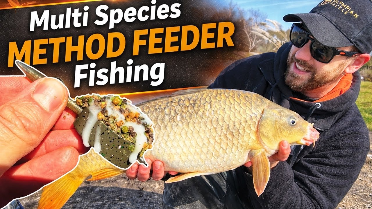 Multi Species Method Feeder Fishing !