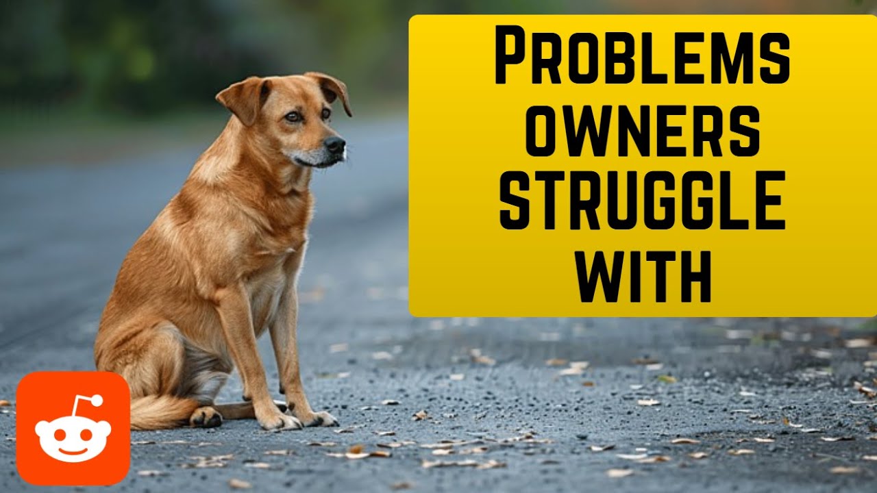 Reacting To MORE BEHAVIOR PROBLEMS From r/dogs