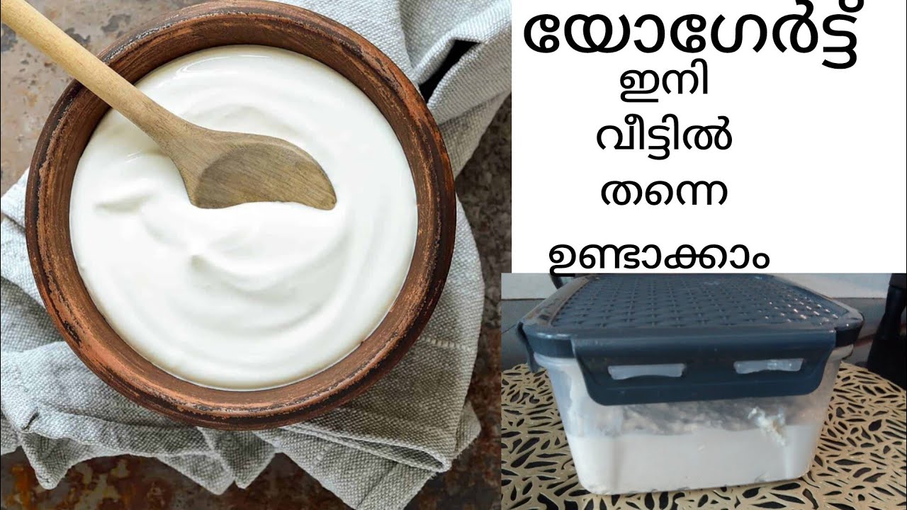 Yogurt recipe/Malayalam/യോഗേർട്ട് വീട്ടിൽ തന്നെ ഉണ്ടാക്കാം /👍👍