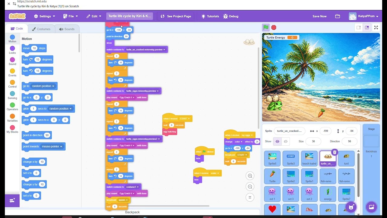 Turtle life circle in scratch CADT