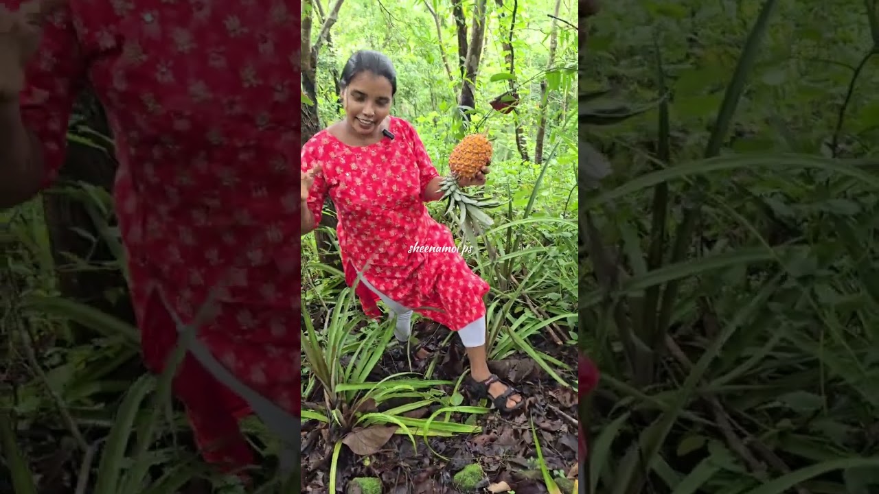 രാവിലെ തന്നെ പപ്പയുടെ പറമ്പിലേക്ക് ❤️❤️