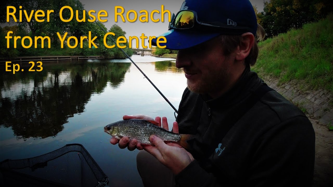 River Foss Fishing - Ep. 23: River Ouse Roach from York Centre