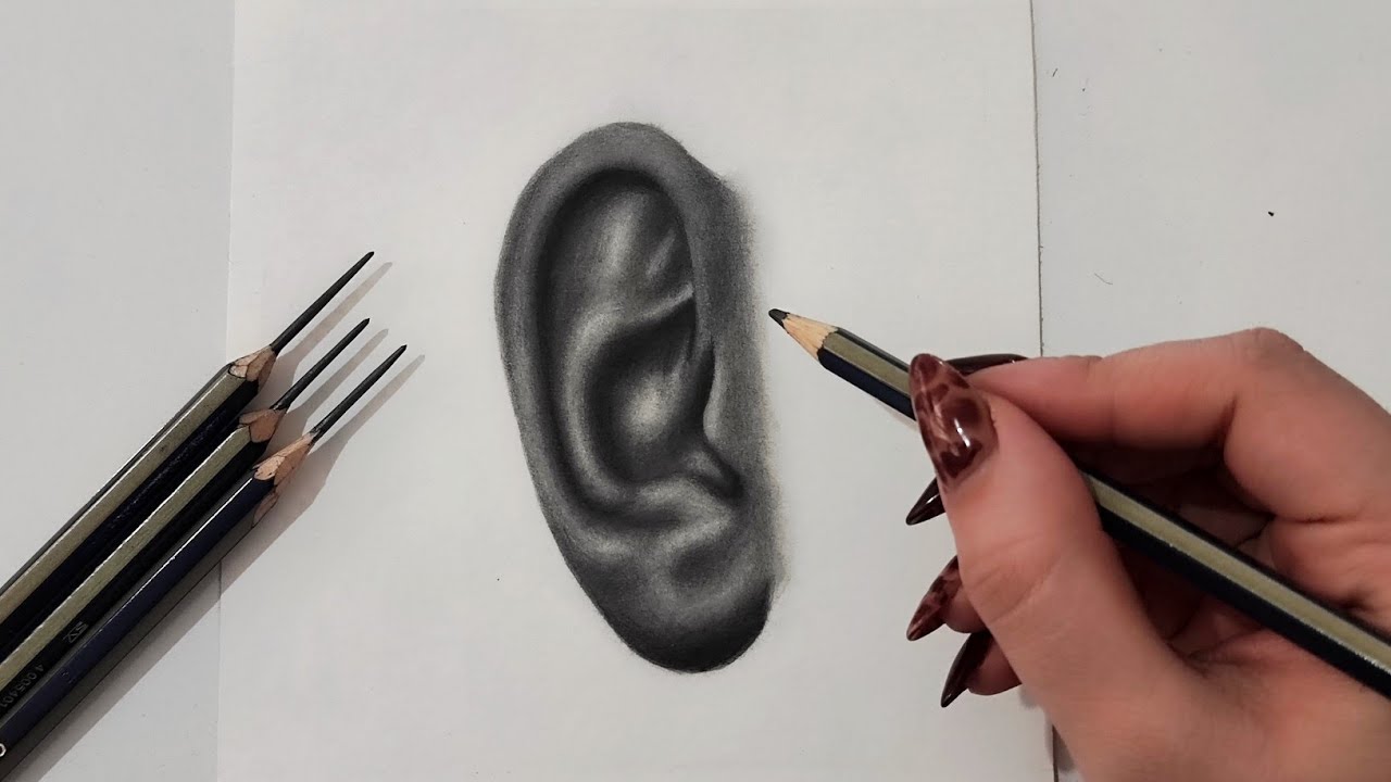 Realistic Ear Drawing ✏️ | Graphite Pencil Shading