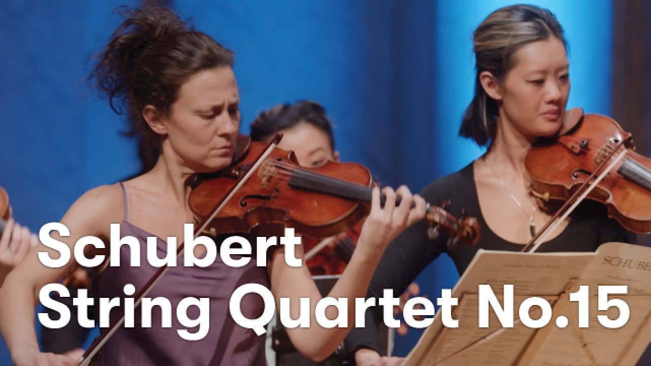 Schubert: String Quartet No. 15 in G-major, I. Allegro molto moderato