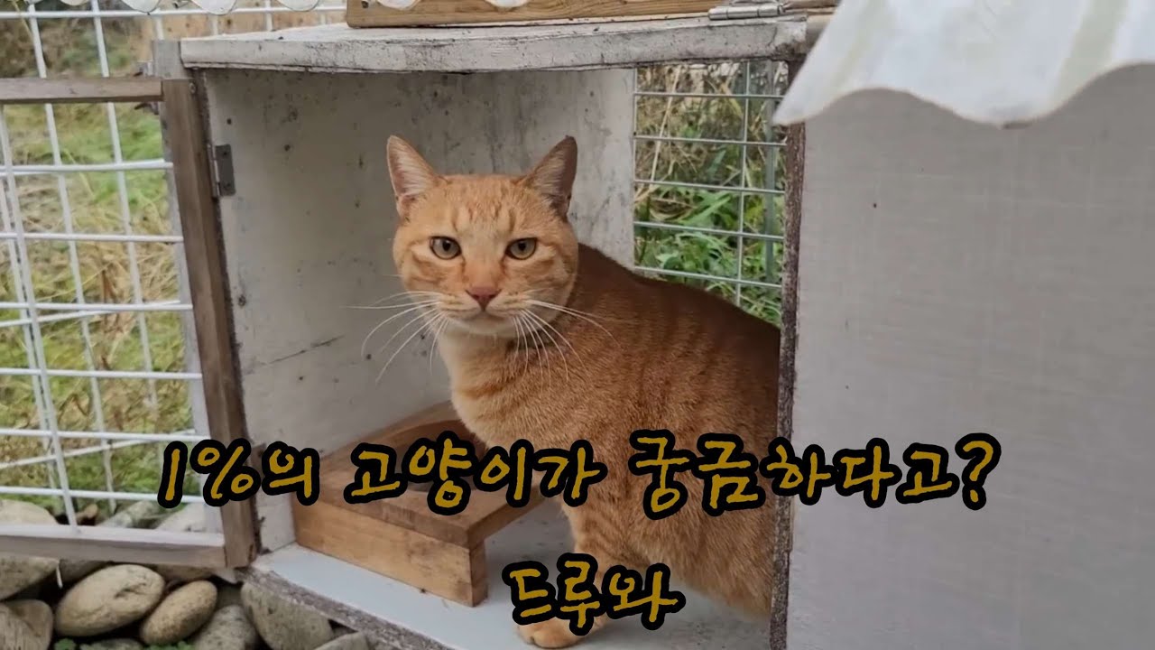 Руководство для начинающих: Tails @Metalnam