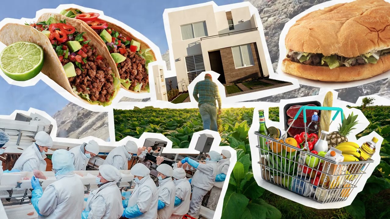 🍽️La Pérdida y el desperdicio de alimentos es un problema que nos afecta a todos.🌎