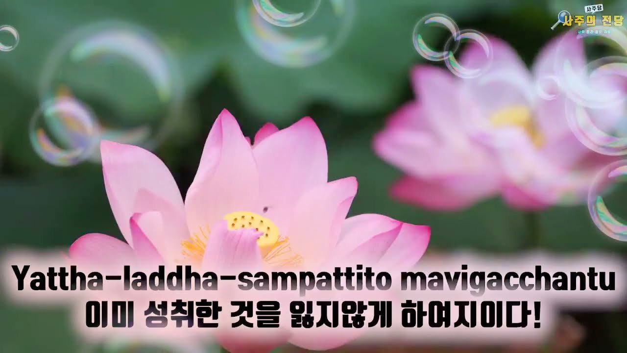 티벳불교음악(힐링명상음악)\\❤️🧡자비송💛💚//