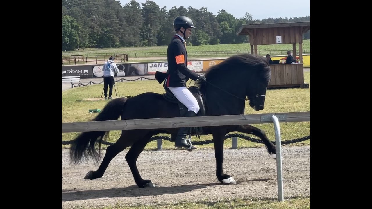 Kronshof Viergangpreis Finale