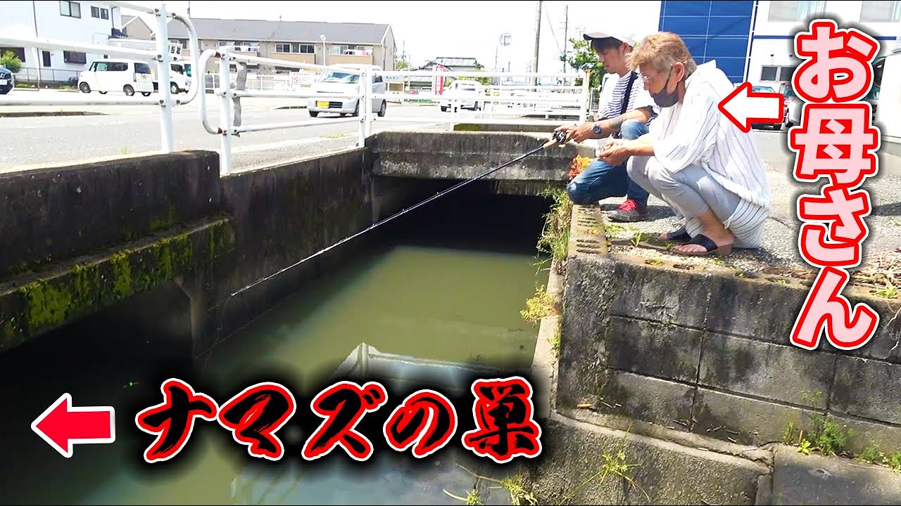 ナマズが釣りたくてポイントを探していたら…