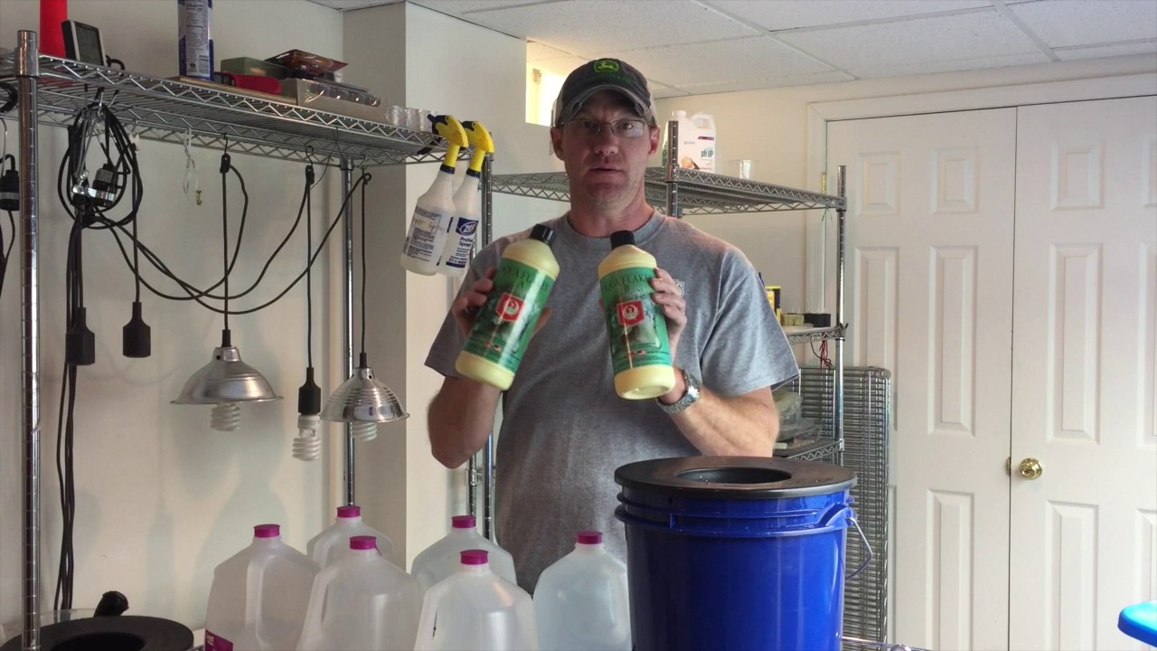 How To Get Started In Hydroponics