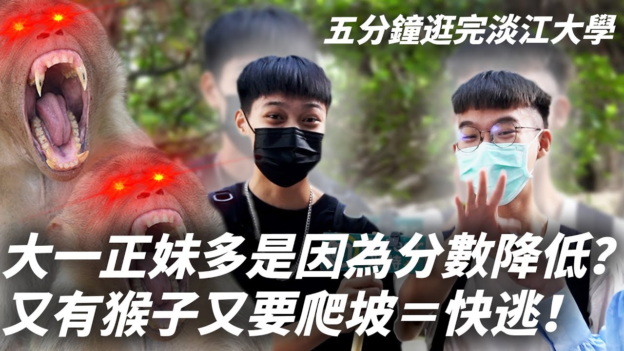 淡江大學｜猴子很多，爬坡爬到死，XX系的學姊都是芭樂？！【五分鐘逛校園】
