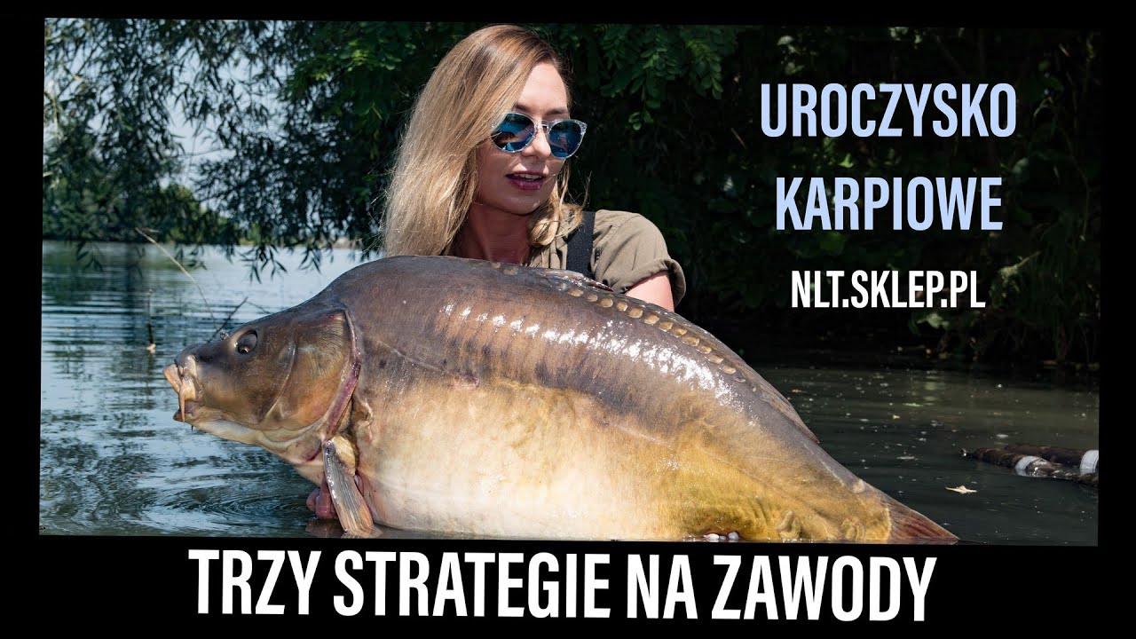 Trzy strategie na zawody - Uroczysko Karpiowe - NLT.SKLEP.PL