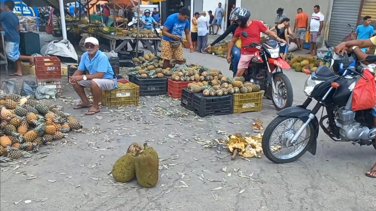 FEIRA LIVRE DE NOVA CRUZ-RN, tudo baratinho, hoje 19/01/2023