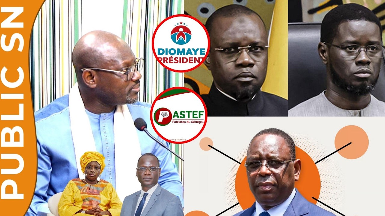 Exclusif : Cheikh Wade lâche une bombe — « Le Sénégal sera le grand perdant dans la bataille des coa