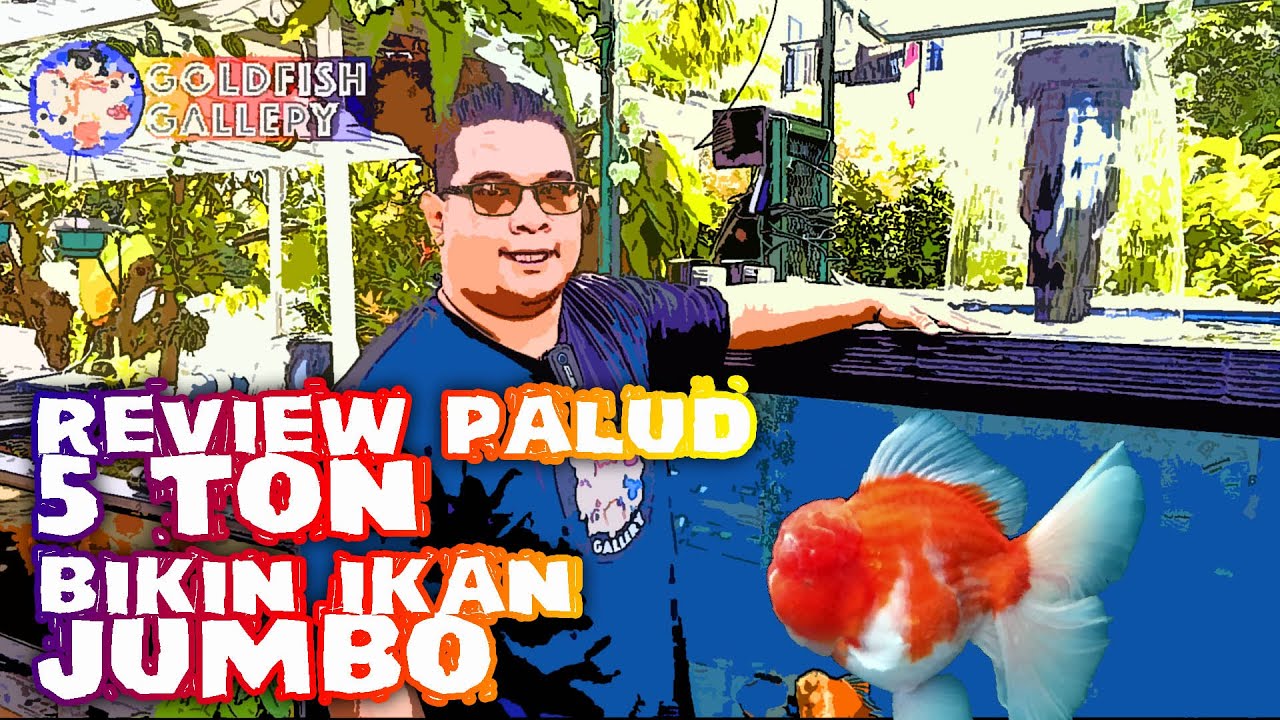 REVIEW FIBER MEGA TANK PALUD 5 TON BIKIN IKAN MASKOKI JUMBO