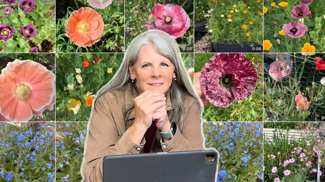 Easy Self-Seeding Plants & Healing Herbs For your Garden 🌱
