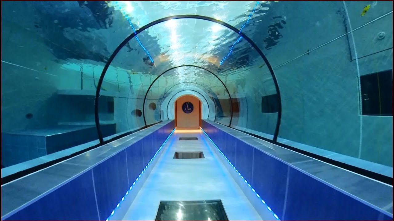 Y-40: From the bed to the bottom for 4 minutes
