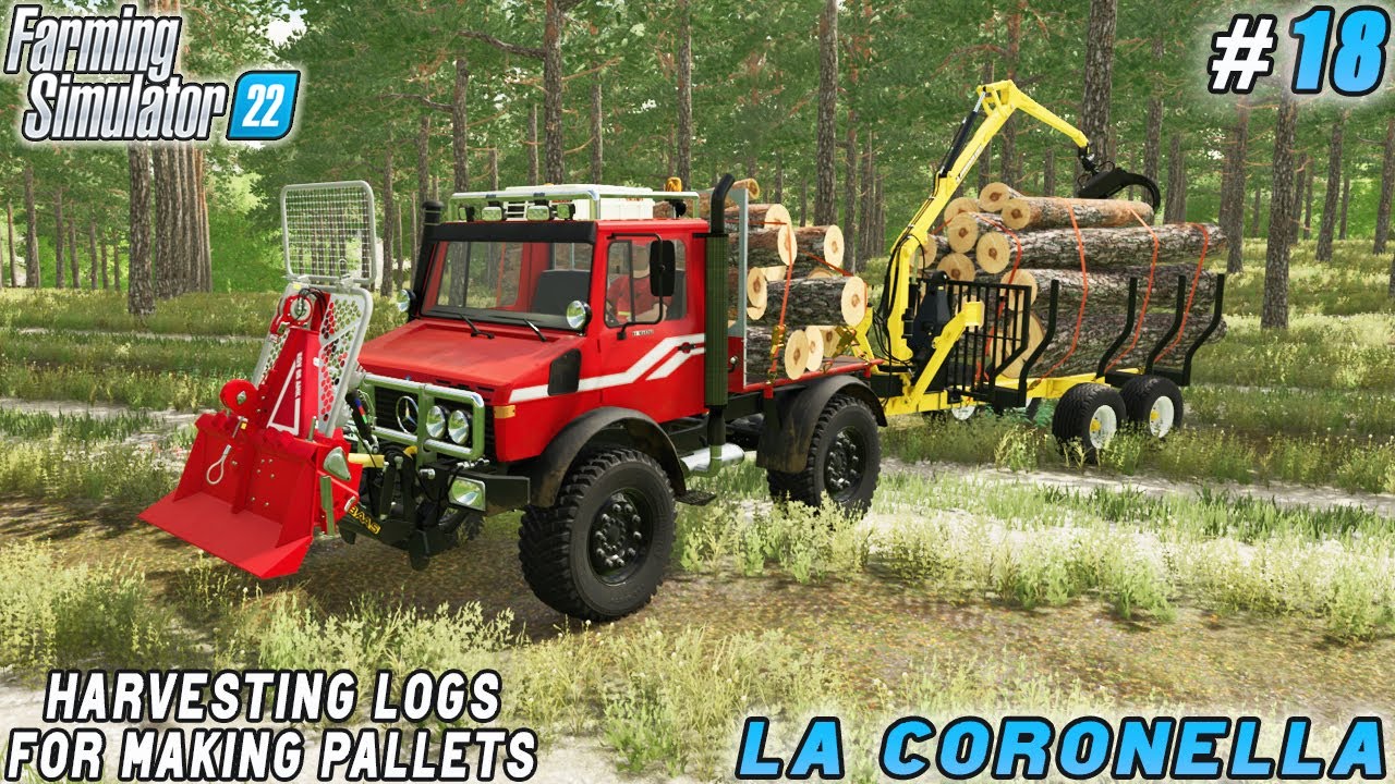 Empty Pallets: Building Blocks for Efficient Production Processes | La Coronella Farm | FS 22 | #17