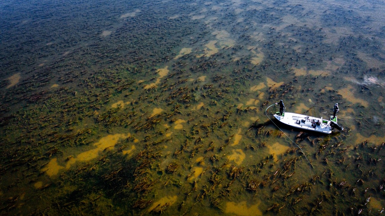Fly Fishing Louisiana's Mississippi River Delta for Bull Redfish