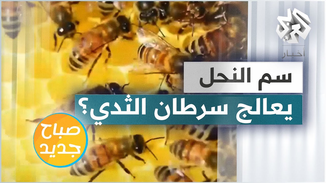 هل يحدث سم النحل ثورة محتملة في مجال علاج سرطان الثدي؟