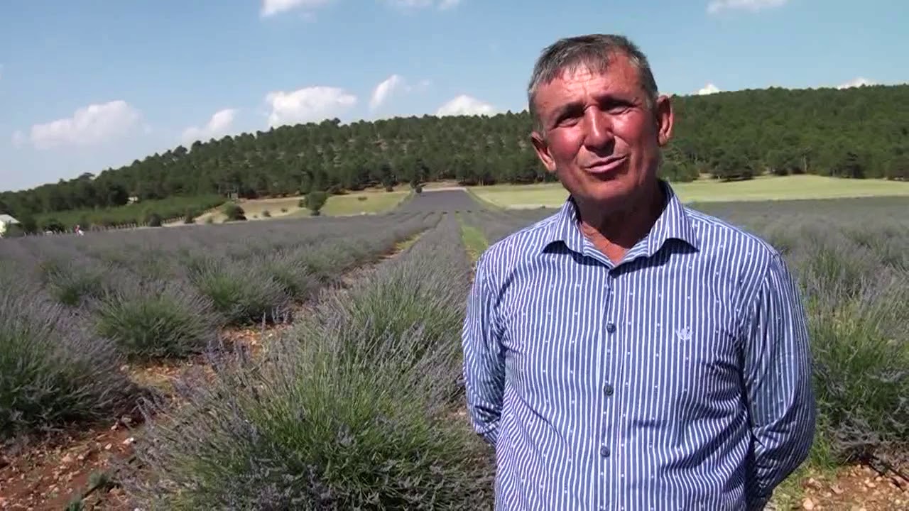 Denizli’de lavanta üretiminde atılım