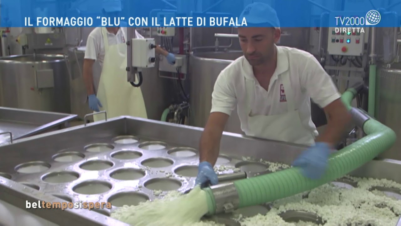 Il formaggio 