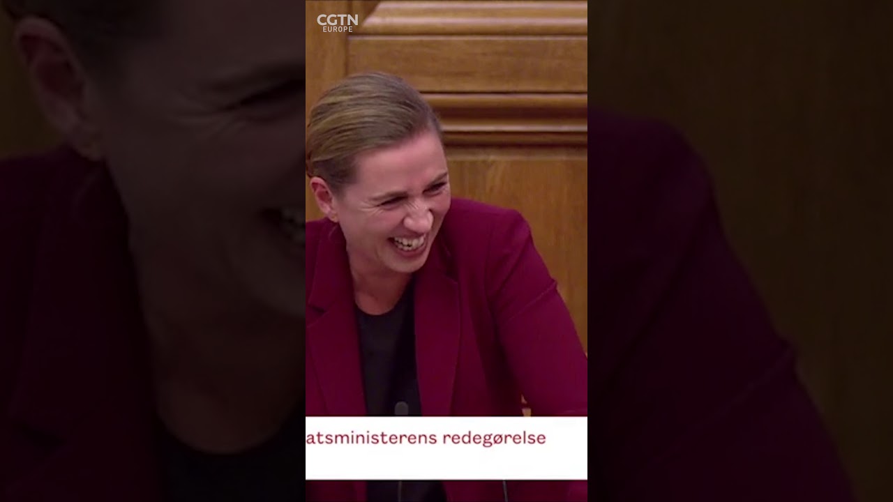 Danish PM has laughing fit over story about an elephant and a camel
