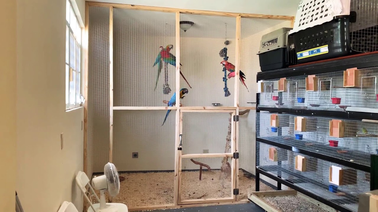 Macaws cage