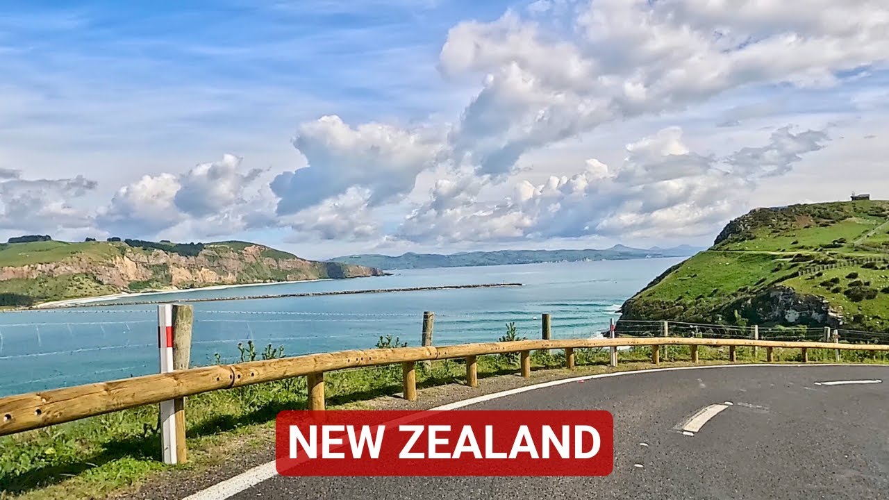 Driving New Zealand's 'Little Scotland' | The Wild Road to the Albatross Colony