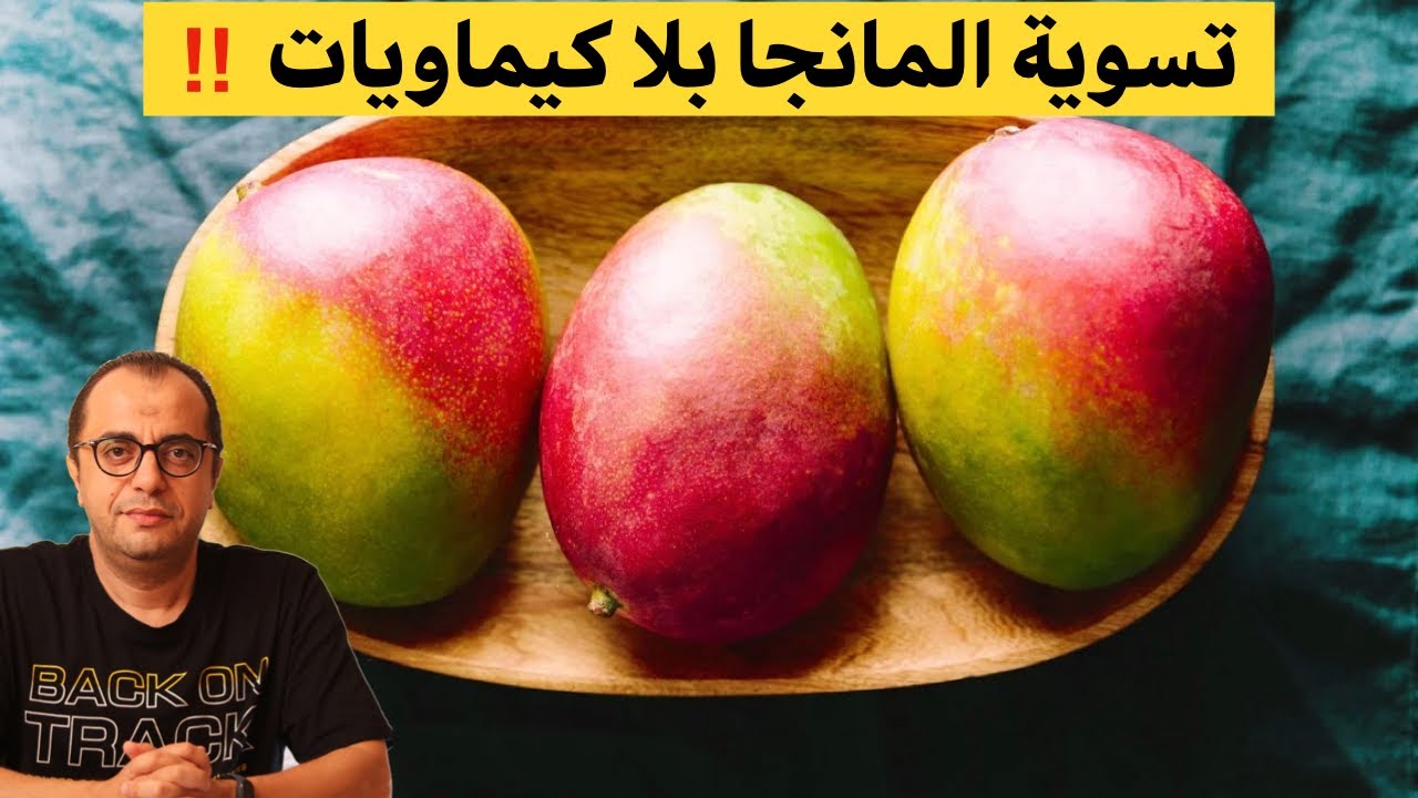تسوية المانجا بدون كيماويات 🥭🥭🥭🥭