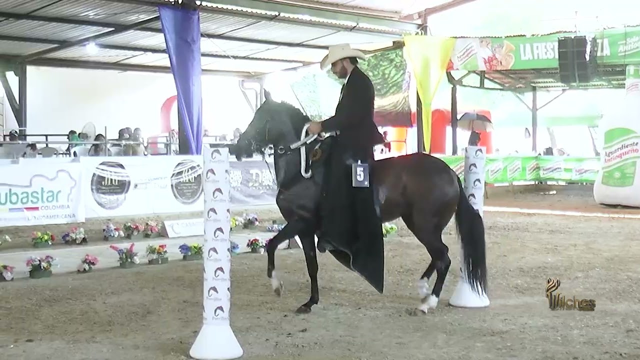 ANTONELLA DE RANCHO LUNA, CAMPEONA JOVEN TROCHA Y GALOPE  LOS POTRILLOS MONTERÍA GRADO B 2026