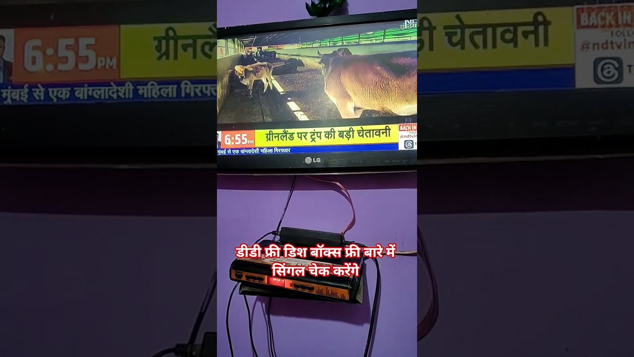 # DD Free Dish बॉक्स का सिंगल टेस्ट 🇮🇳 सच सामने आ गया! 📡Shorts feed