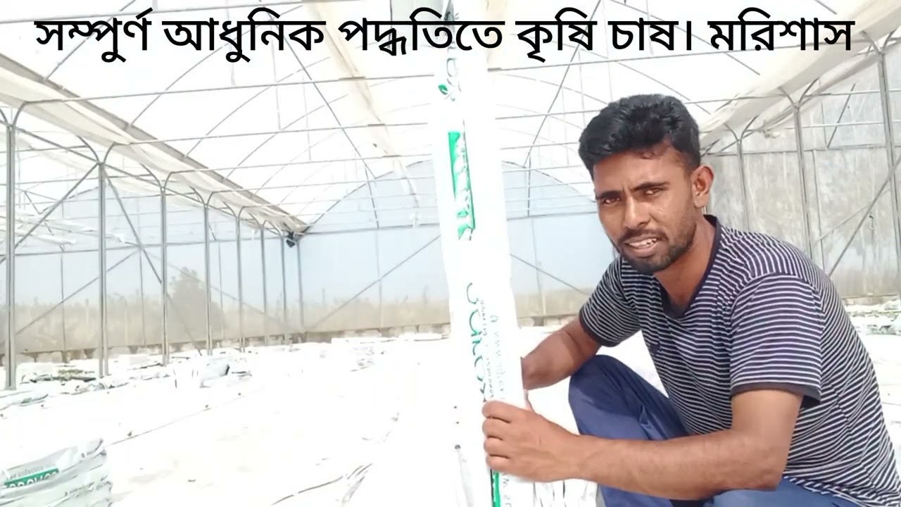 আধুনিক পদ্ধতিতে টমেটো লাগার জন্য আমরা পেকেট গুলো যেভাবে রেডি করি। 