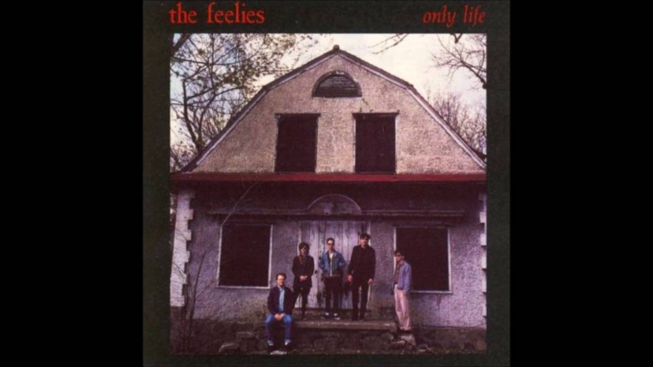 The Feelies - For Awhile
