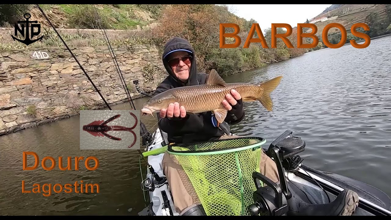 BARBOS - No Douro com Lagostim