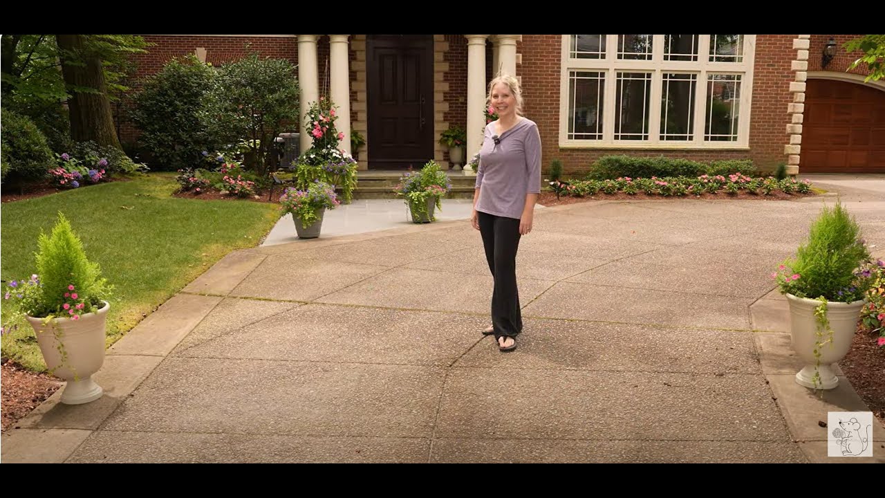 Sun Urns using Lemon Cypress and Proven Winner annuals
