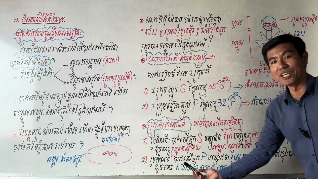 ពិសោធន៍ហឺស៉ីនិងឆាស