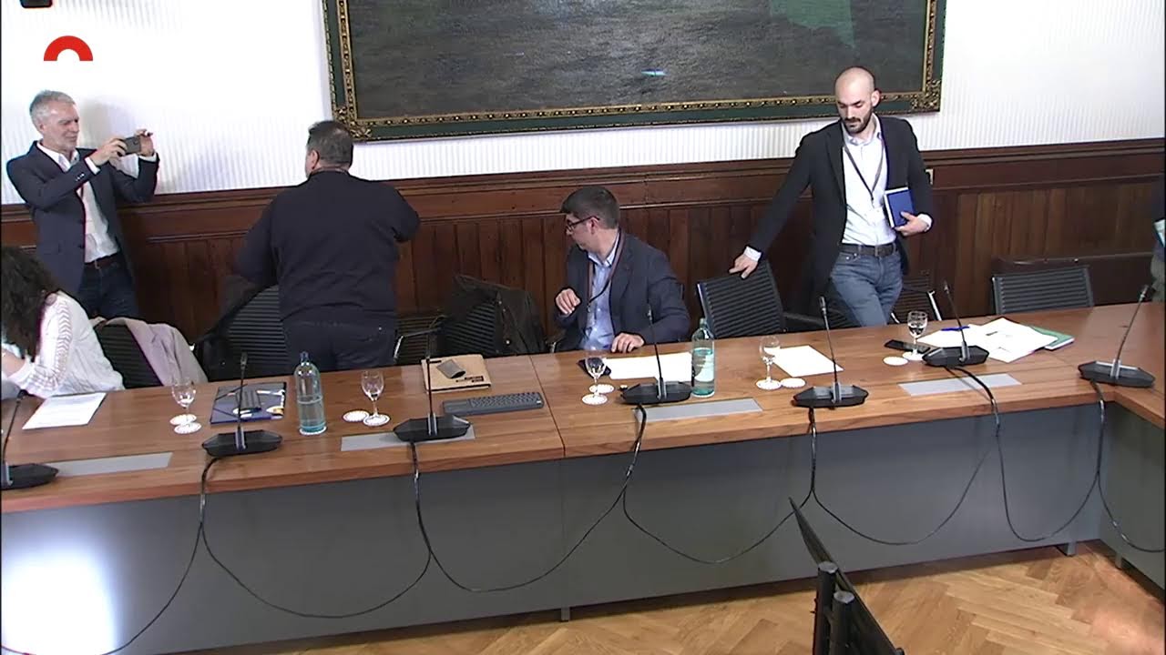 Ponències (audiències en procediment legislatiu) 17/02/26 11:00