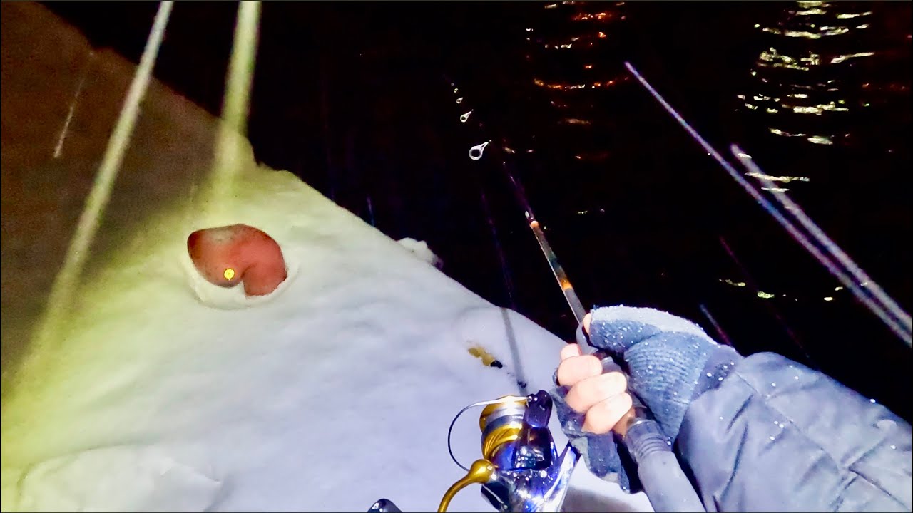 【夜の港釣り】雪積もるの北海道の魚港でワームで釣りしたらまさかの大爆釣だった！