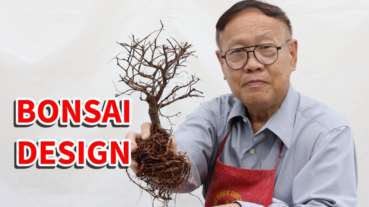 How to upgrade your pre-bonsai. Pruning, wiring, styling, designing, potting, and more!