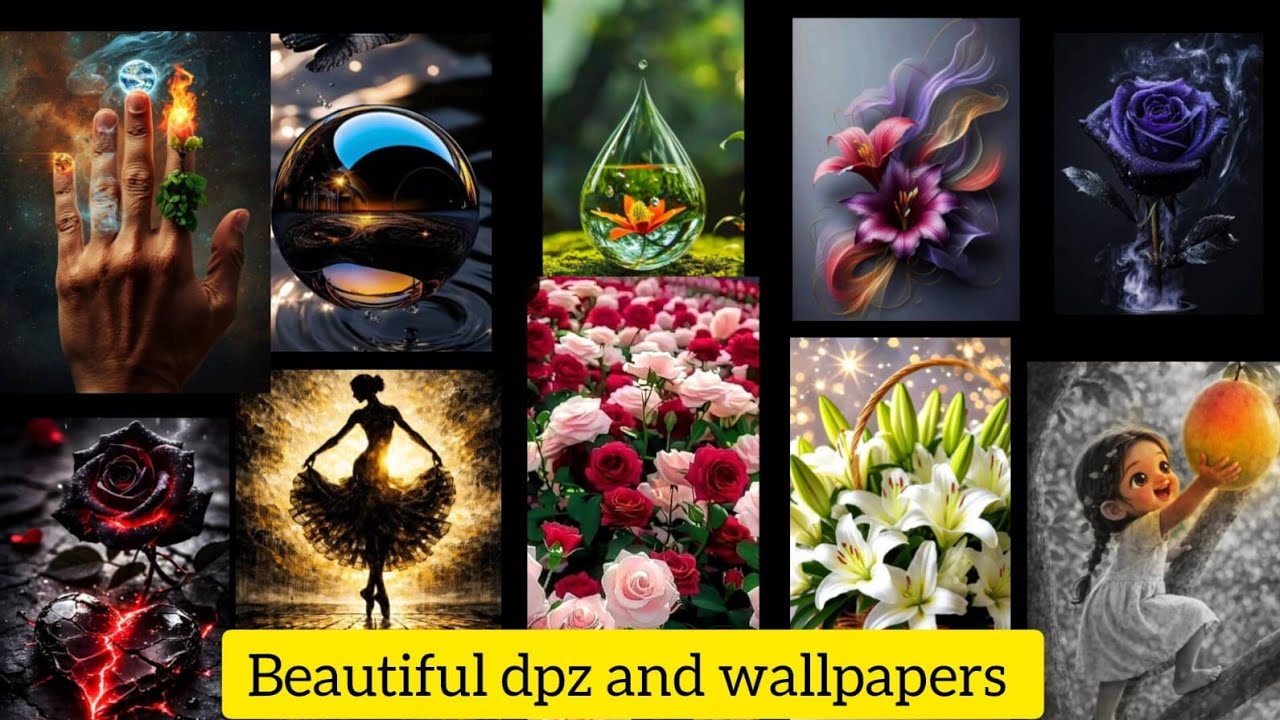 Top 30 beautiful dpz and wallpapers||flower dpz|status photo #dp #wallpaper 