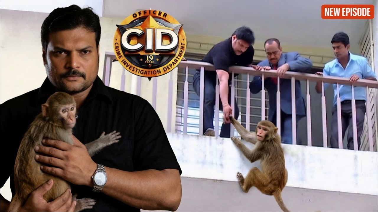 30 वें माले से लटक रहा था बंदर, Daya ने बचाई बंदर की जान || CID || Latest  Episode ||