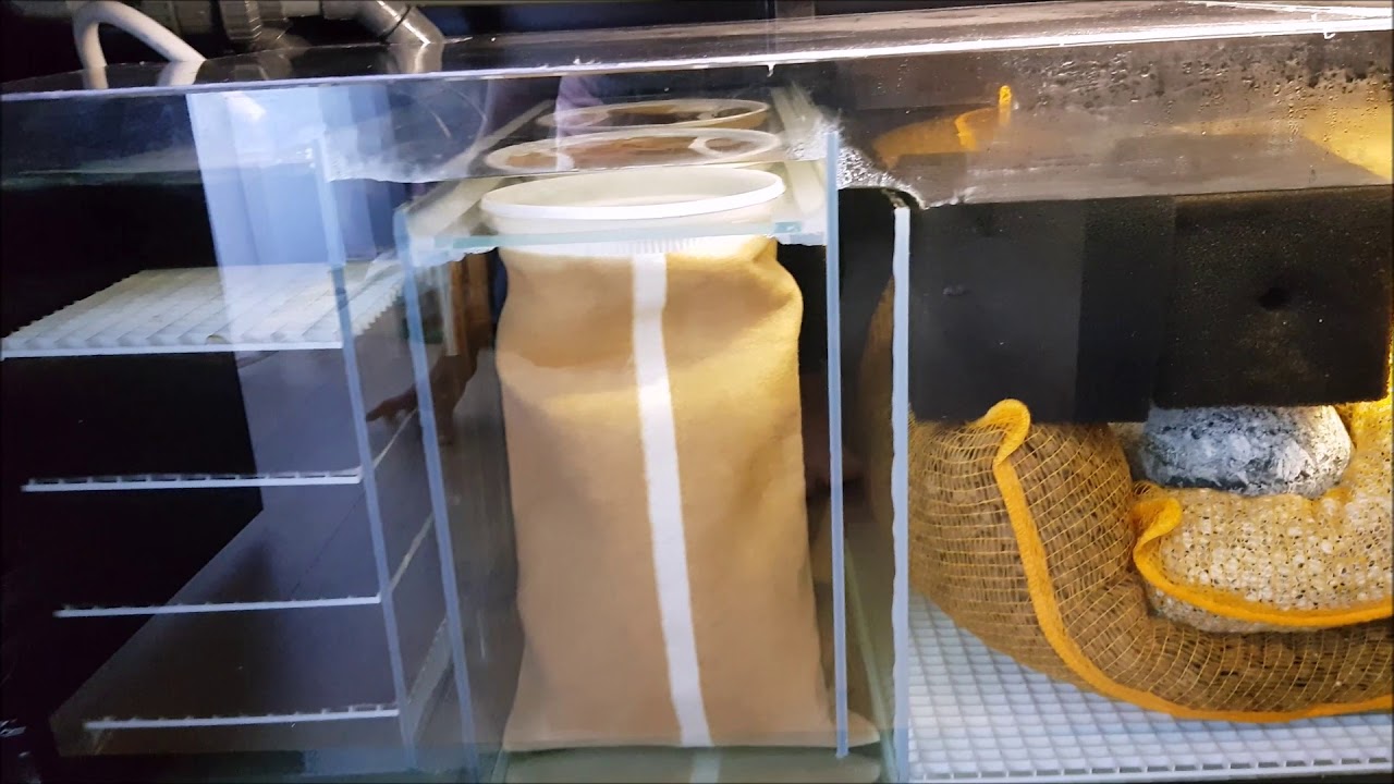Frontosa tank 1100ltr